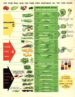 Victory Garden