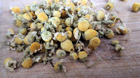 Chamomile