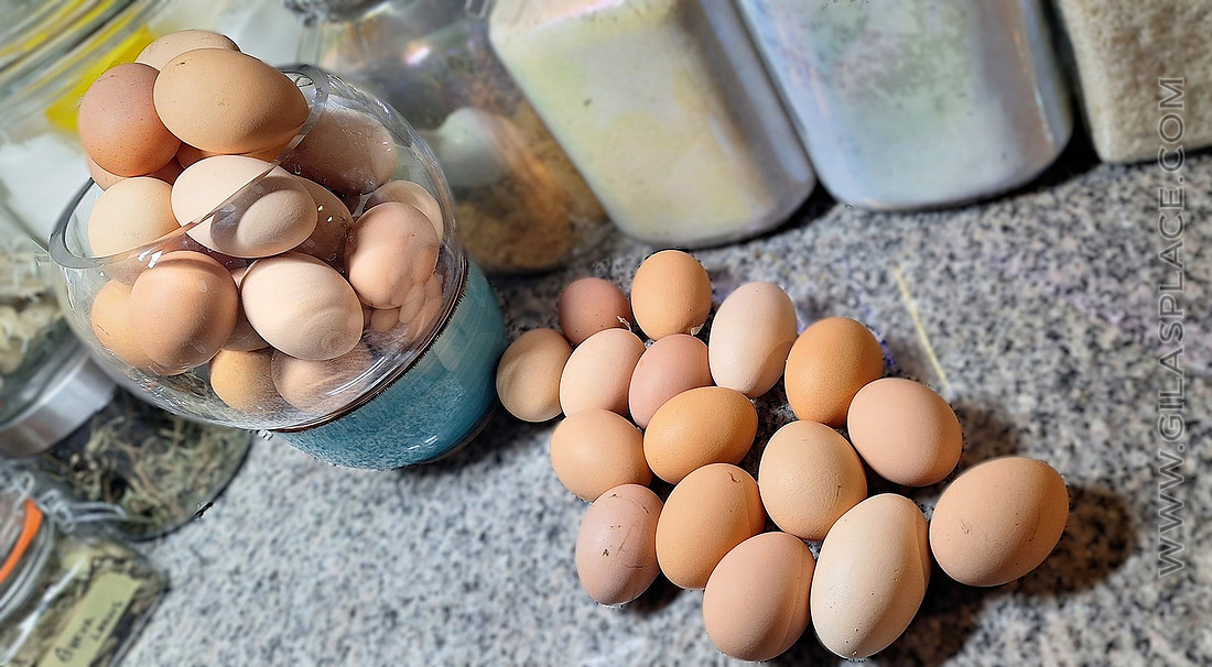Fresh Eggs