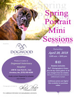 Dogwood Spring Mini sessions 04-28-18