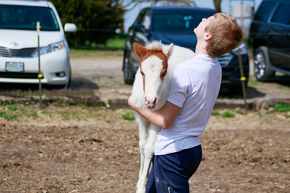 On the Farm RHF-1905190406