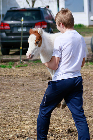 On the Farm RHF-1909190406
