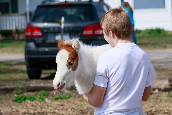 On the Farm RHF-1910190406