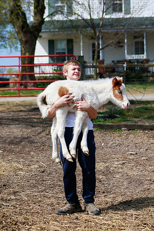 On the Farm RHF-1920190406