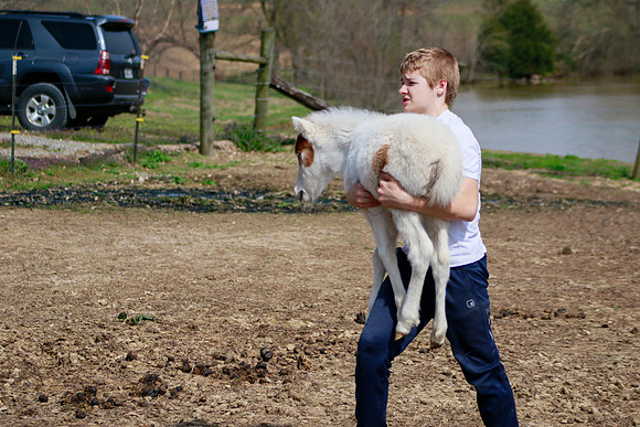 On the Farm RHF-1926190406