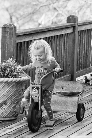 On the Farm RHF-1950190406