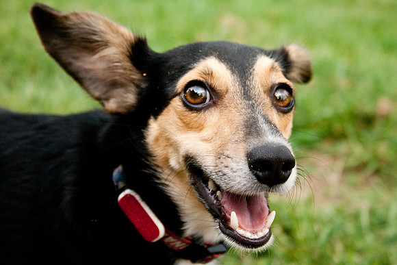 Darla Scott-8340